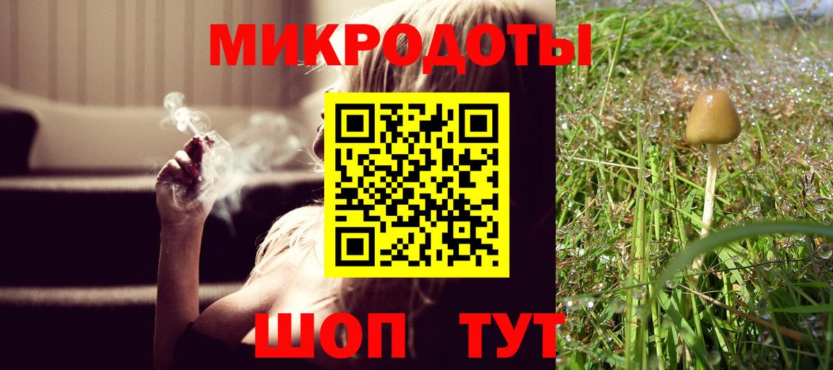 Серпухов  Галлюциногенные грибы Cubensis  Вход с VPN 